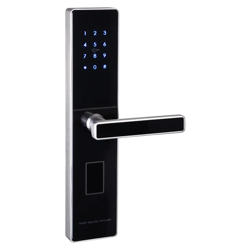 home security system TTLOCK APP Electronic lock